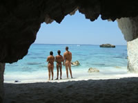 Dreamy Cove Dreamy Cove