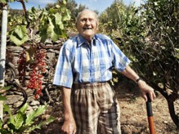 older man in garden